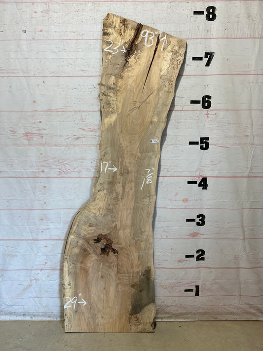 Live Edge Maple Sku#28334B-30