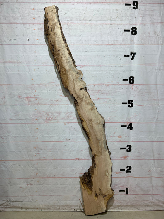 Live Edge Maple Sku#27355-18