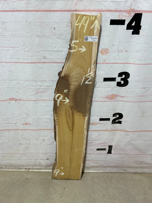 Live Edge Mulberry Sku#28371M-4