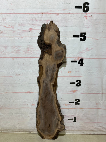 Live Edge Walnut Sku#28229M-6