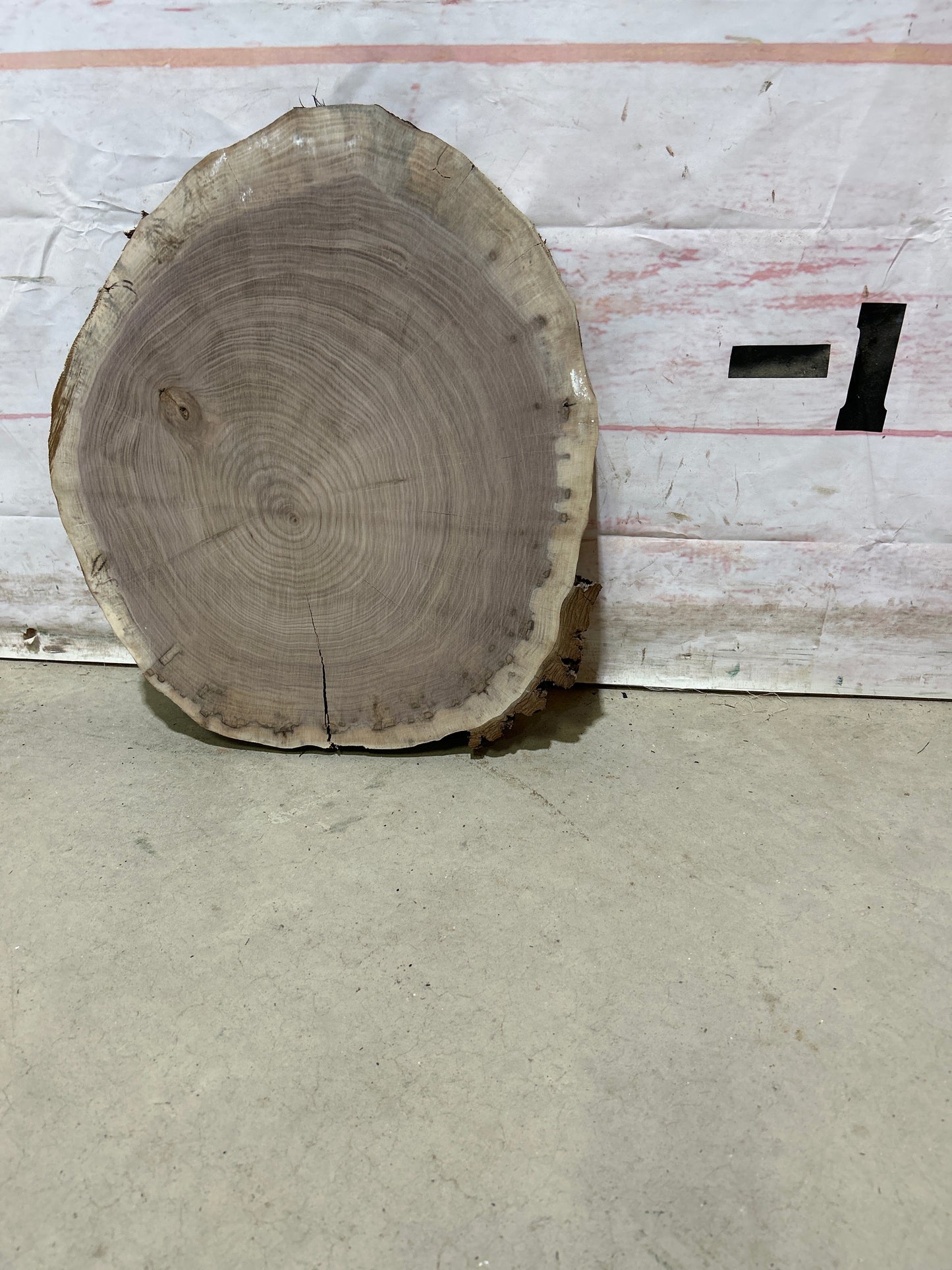 Live Edge Walnut Cookie Sku#28150M