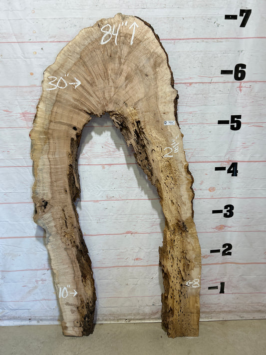 Live Edge Ambrosia Maple Sku#27257E-28