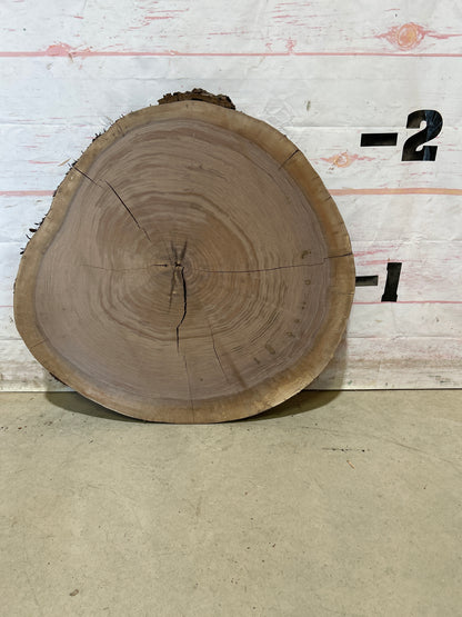 Live Edge Walnut Cookie Sku#28443M