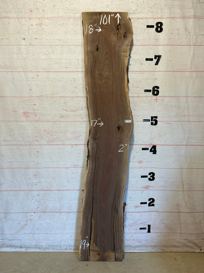 Live Edge Walnut Sku#28928J-25