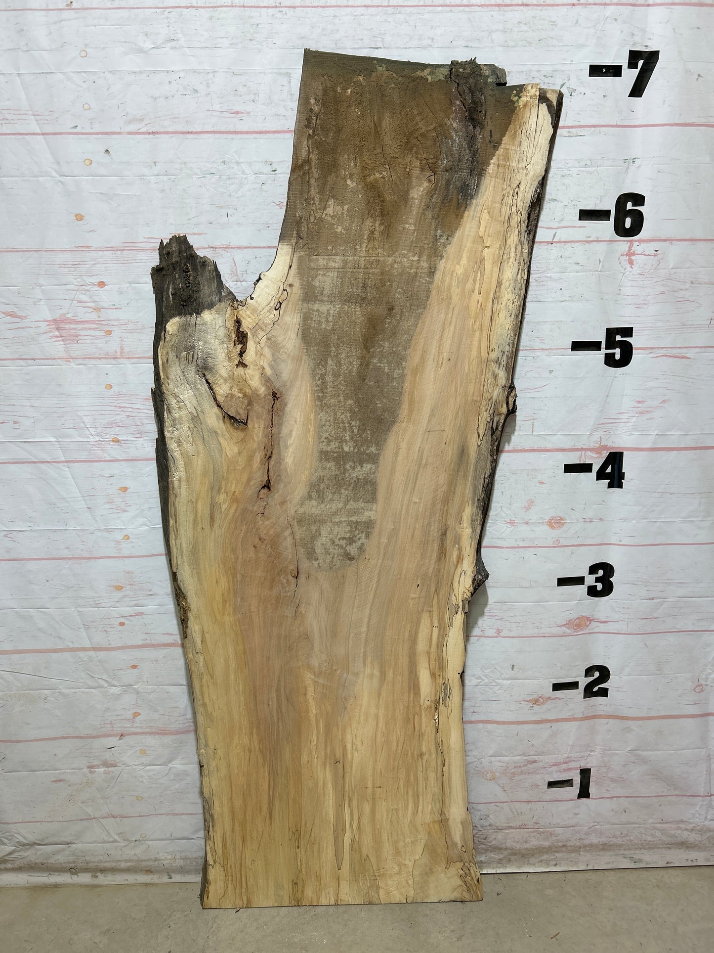 Live Edge Maple Sku#28312B-33