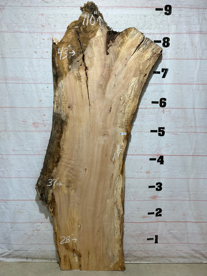 Live Edge Maple Sku#28097B-48