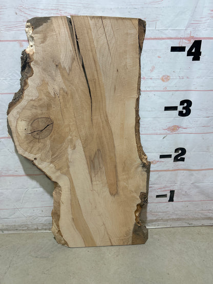Live Edge Maple Sku#28569E-17