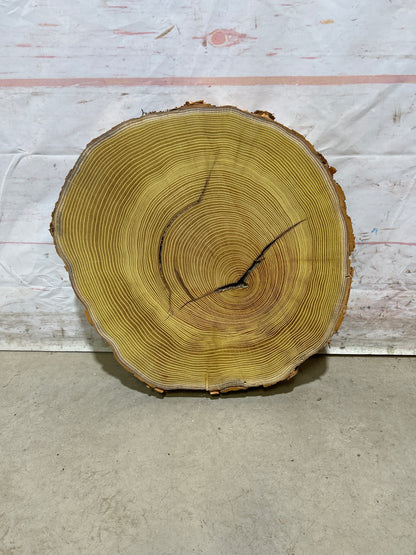 Live Edge Osage Orange Sku#28827M