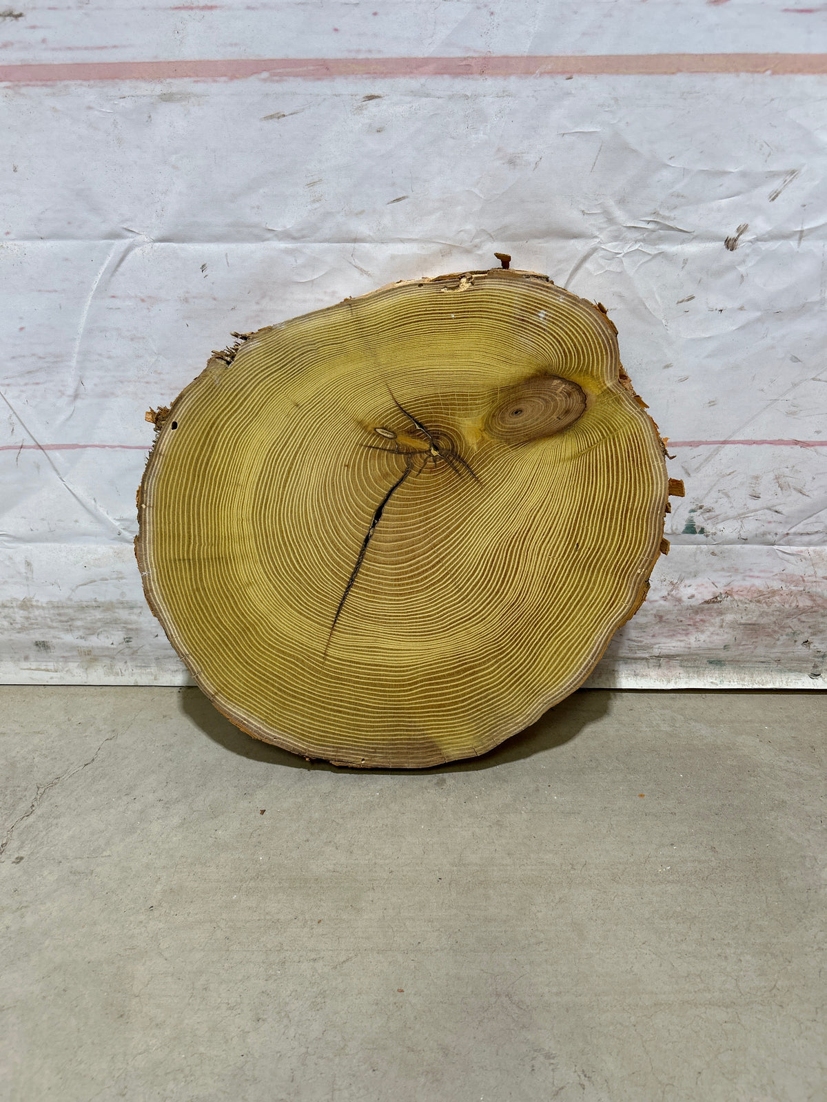 Live Edge Osage Orange Sku#28838M