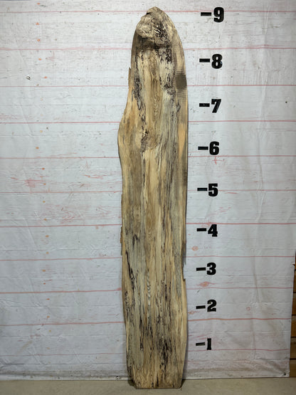 Live Edge Hackberry Sku#28588-16