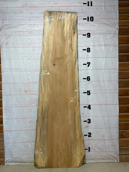 Live Edge Sycamore Sku#27457-60