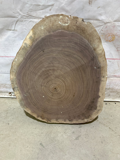 Live Edge Walnut Cookie Sku#28158M