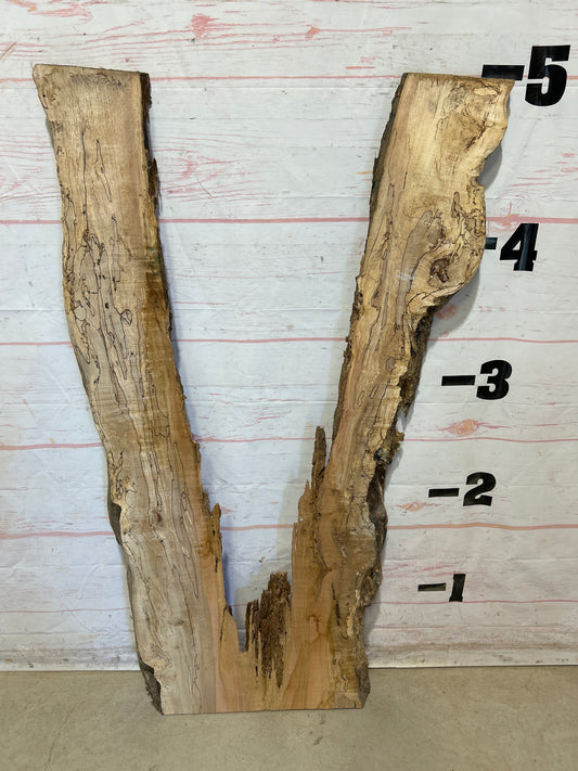 Live Edge Spalted Maple Sku#27974B-17