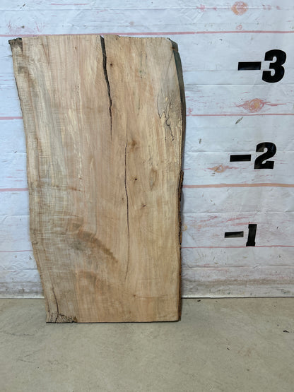 Live Edge Maple Sku#28563E-12