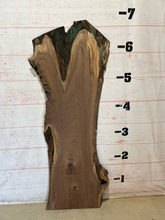 Live Edge Walnut Sku#27929G-32