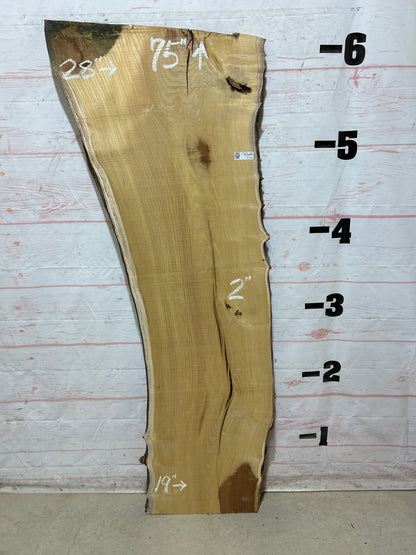 Live Edge Mulberry Sku#27622H-25