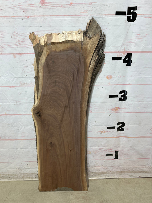 Live Edge Walnut Sku#28937G-16