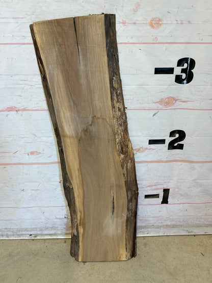 Live Edge Walnut Sku#28698M-6
