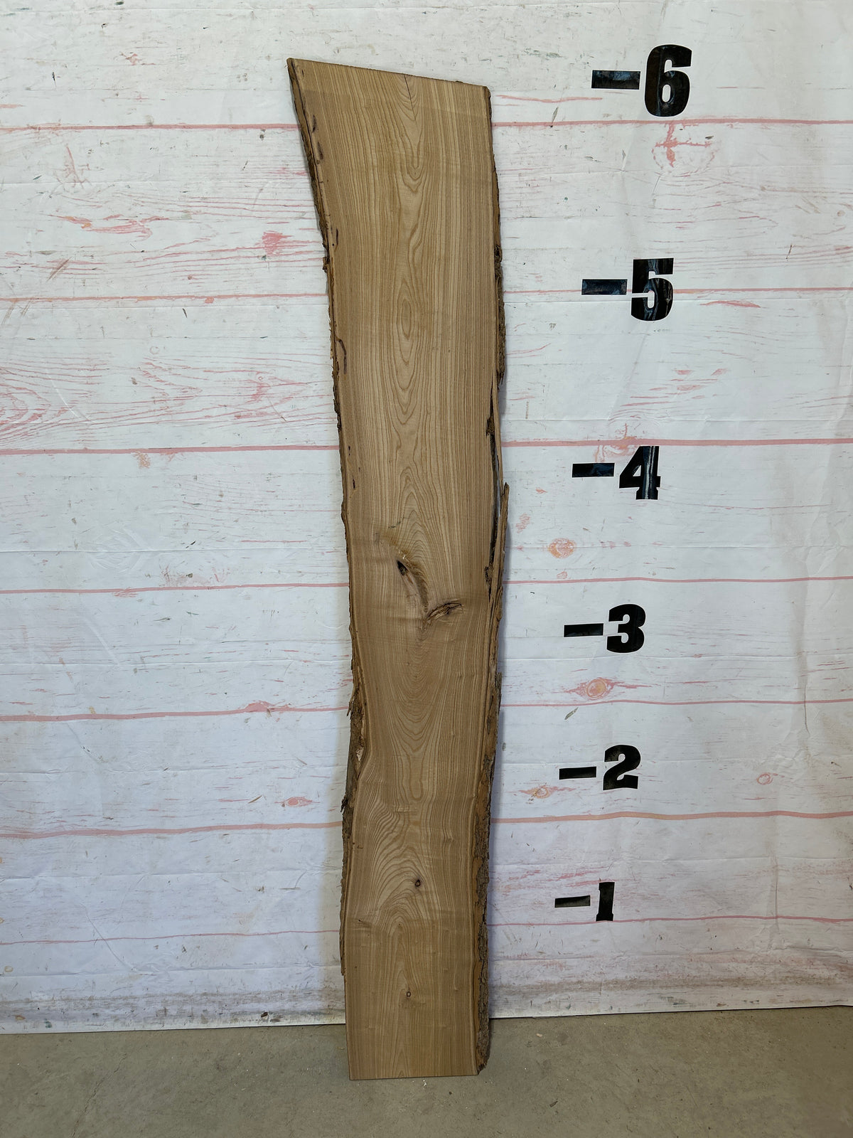 Live Edge Catalpa Sku#28669-8