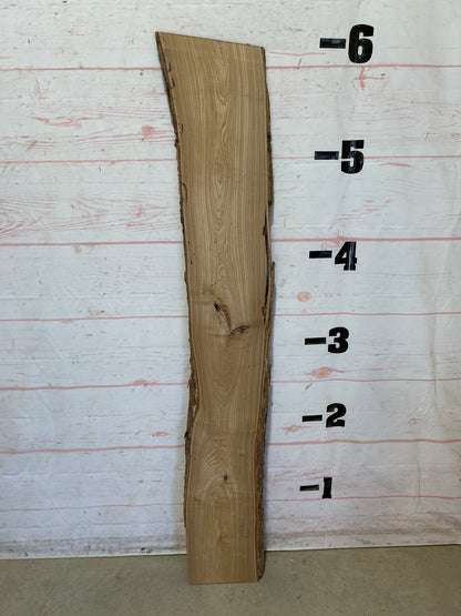 Live Edge Catalpa Sku#28669-8