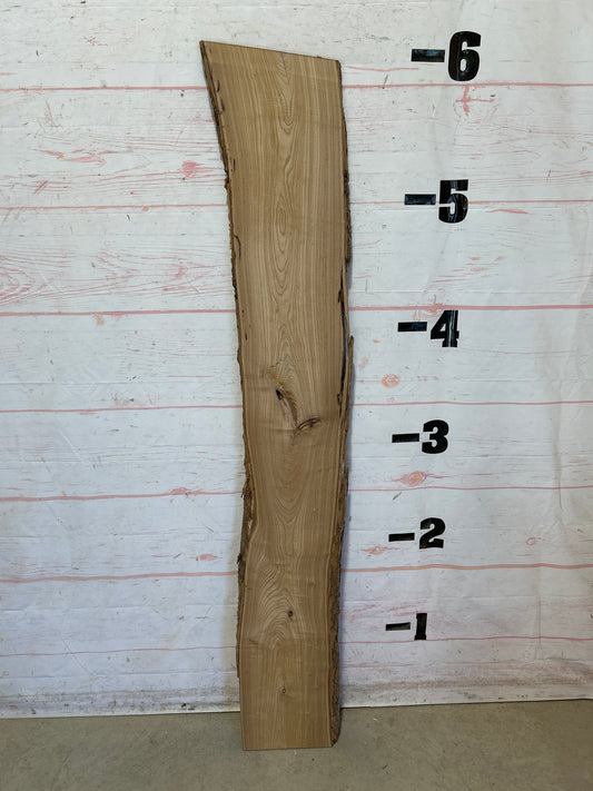 Live Edge Catalpa Sku#28669-8