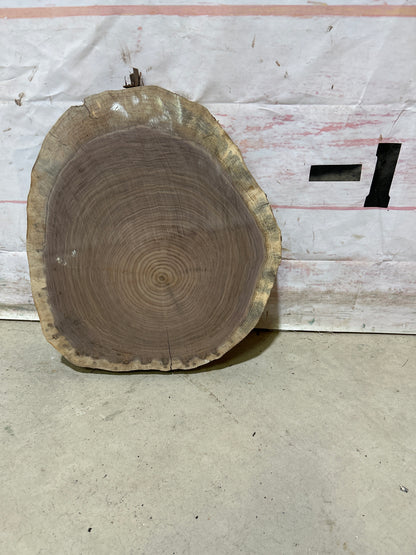 Live Edge Walnut Cookie Sku#28154M