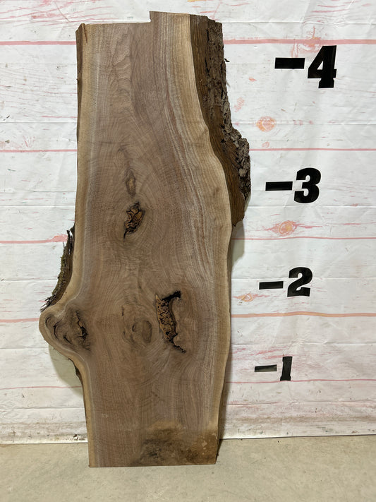 Live Edge Walnut Sku#27396M-13