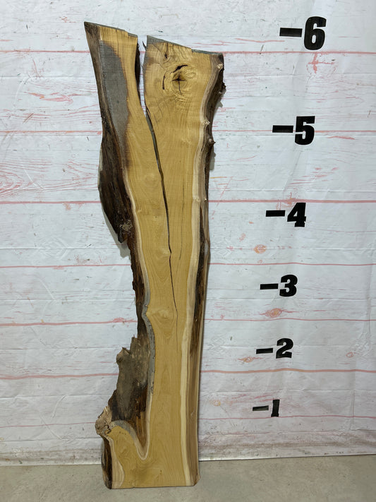 Live Edge Mulberry Sku#27625H-17
