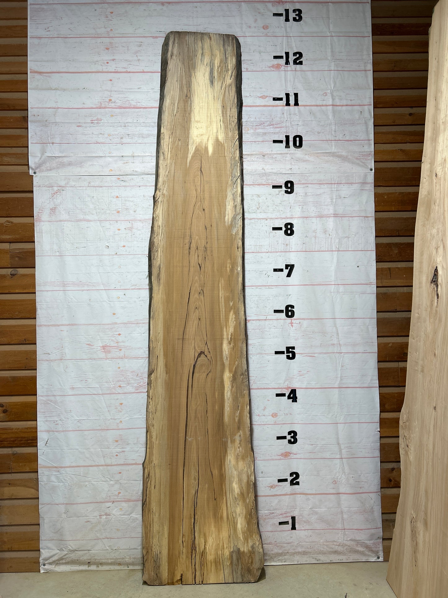 Live Edge Spalted Sycamore Sku#27490-81