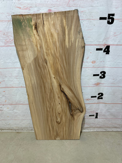 Live Edge Elm Sku#27510D-20