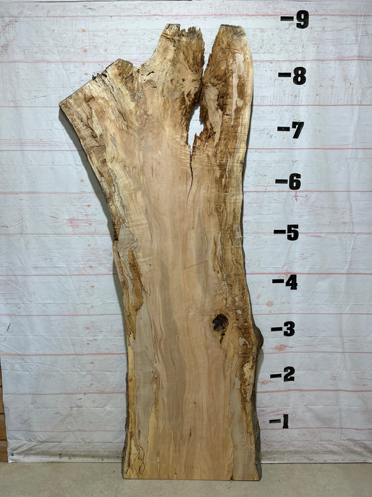 Live Edge Maple Sku#28096B-54