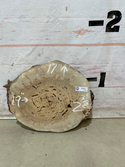 Live Edge Maple Cookie Sku#27883M