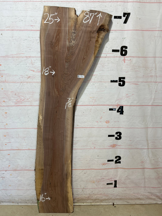 Live Edge Walnut Sku#27863M-25