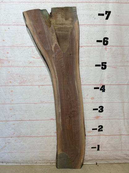Live Edge Walnut Sku#27863M-25