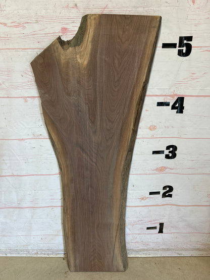 Live Edge Walnut Sku#28471G-19