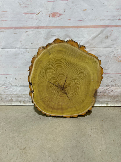 Live Edge Osage Orange Sku#28830M