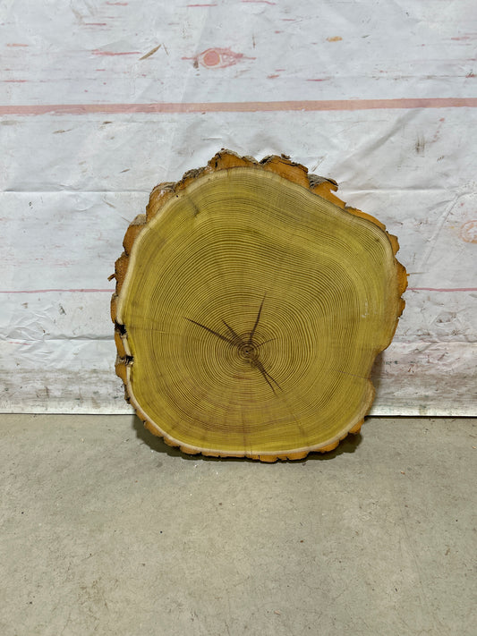 Live Edge Osage Orange Sku#28830M
