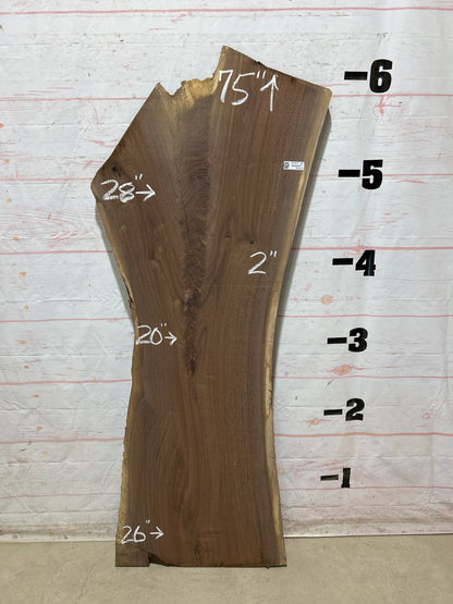 Live Edge Walnut Sku#28947F-25