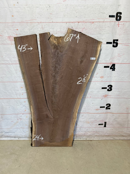 Live Edge Walnut Sku#28727N-32