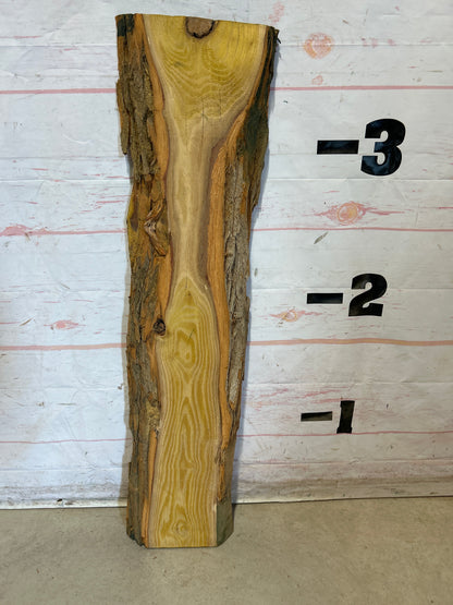 Live Edge Osage Orange SKU#28582M-5