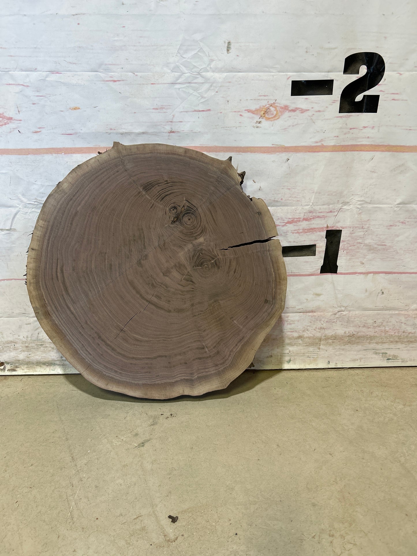 Live Edge Walnut Cookie Sku#27989M