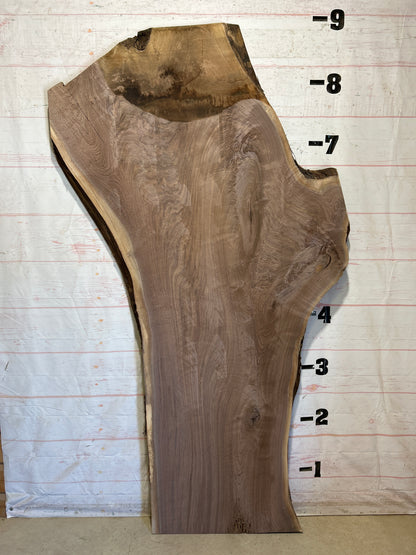 Live Edge Walnut Sku#28616-68
