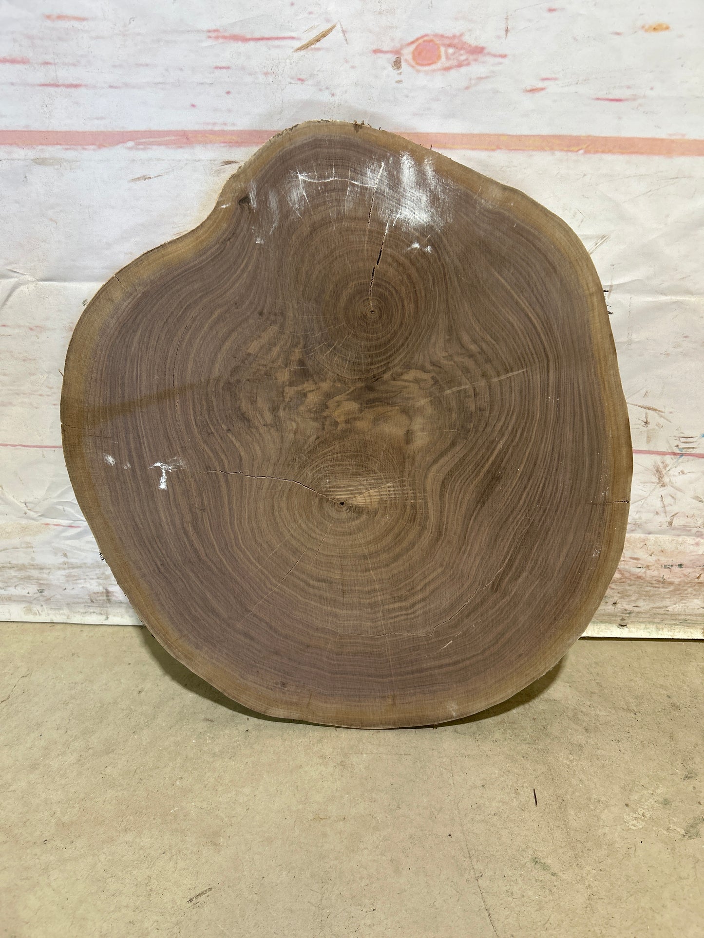 Live Edge Walnut Cookie Sku#28177M