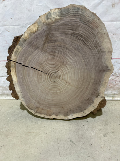 Live Edge Walnut Cookie Sku#28165M