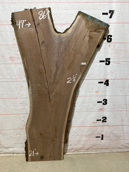Live Edge Walnut Sku#27237J-41