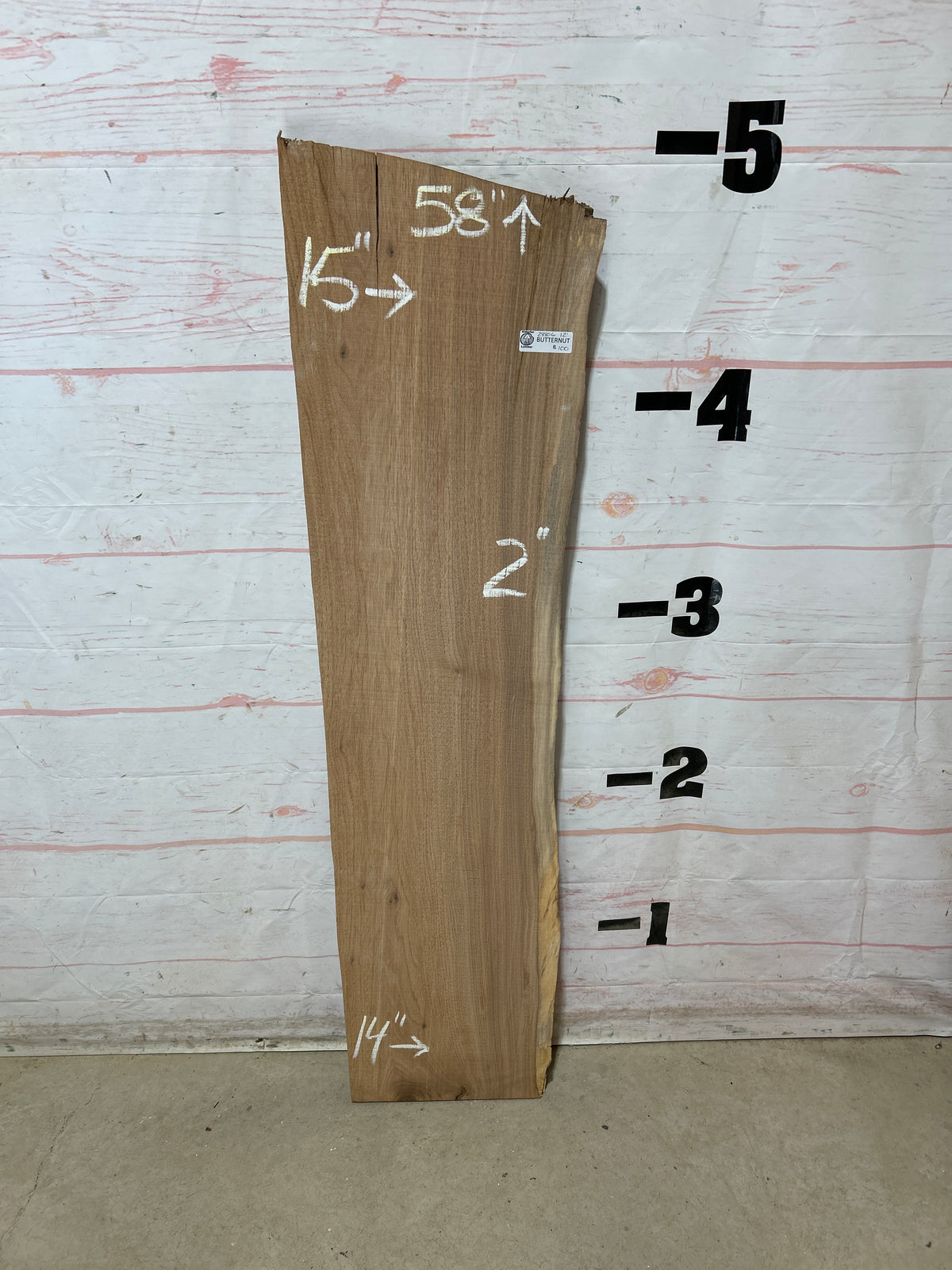 Live Edge Butternut Sku#28806M-12