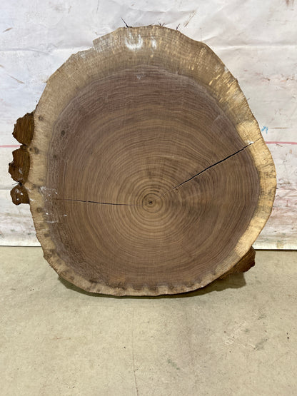 Live Edge Walnut Cookie Sku#28179M