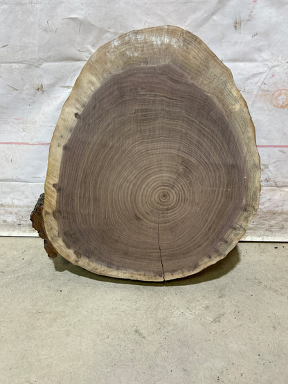 Live Edge Walnut Cookie Sku#28161M