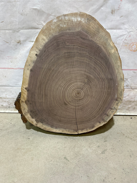 Live Edge Walnut Cookie Sku#28161M
