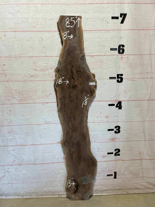 Live Edge Walnut Sku#28225M-8